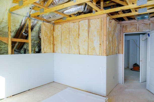 Best Spray Foam Insulation  in Center Hill, FL