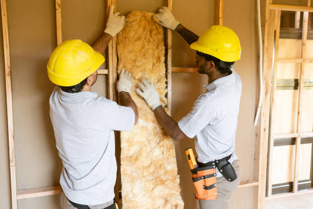 Best Soundproof Insulation Installation  in Center Hill, FL